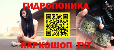 spice Камышлов