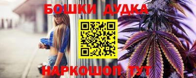 spice Камышлов
