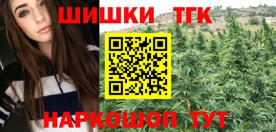 spice Камышлов