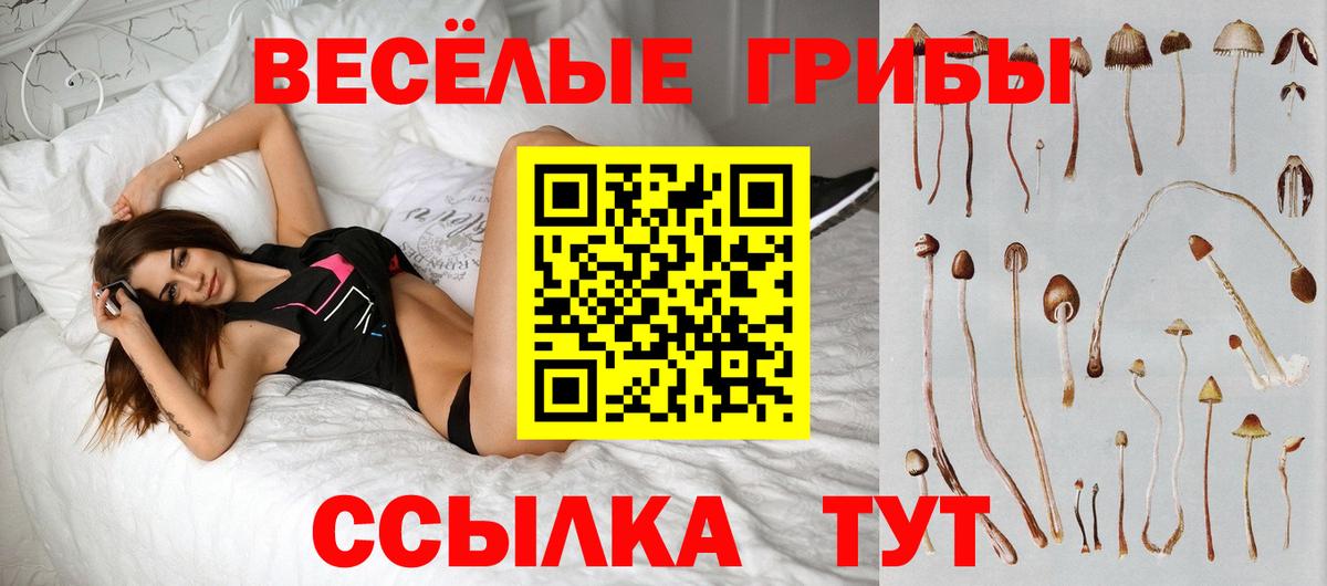 Галлюциногенные грибы GOLDEN TEACHER  Вход с VPN  Кувандык 